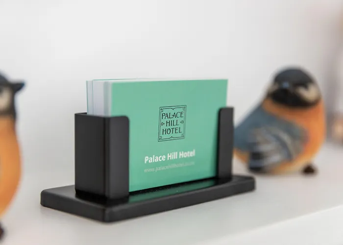 Hotel Palace Hill 3*